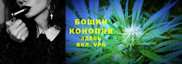 стафф Новокубанск
