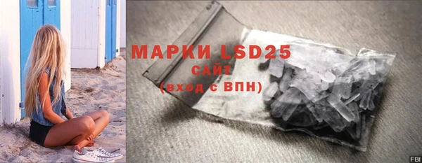 стафф Новокубанск