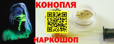 дмт Аргун