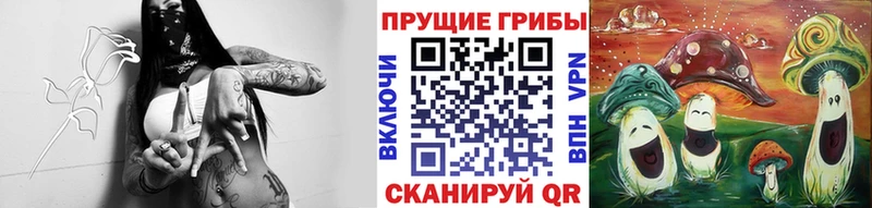 мориарти телеграм  Воронеж  Псилоцибиновые грибы прущие грибы 